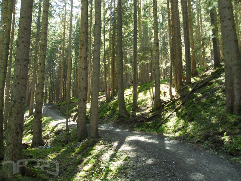slideshow image