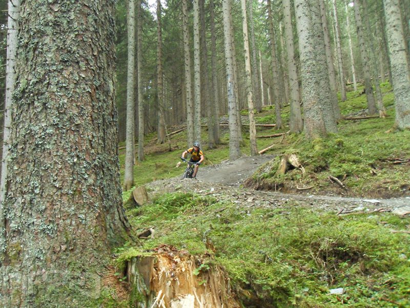 slideshow image