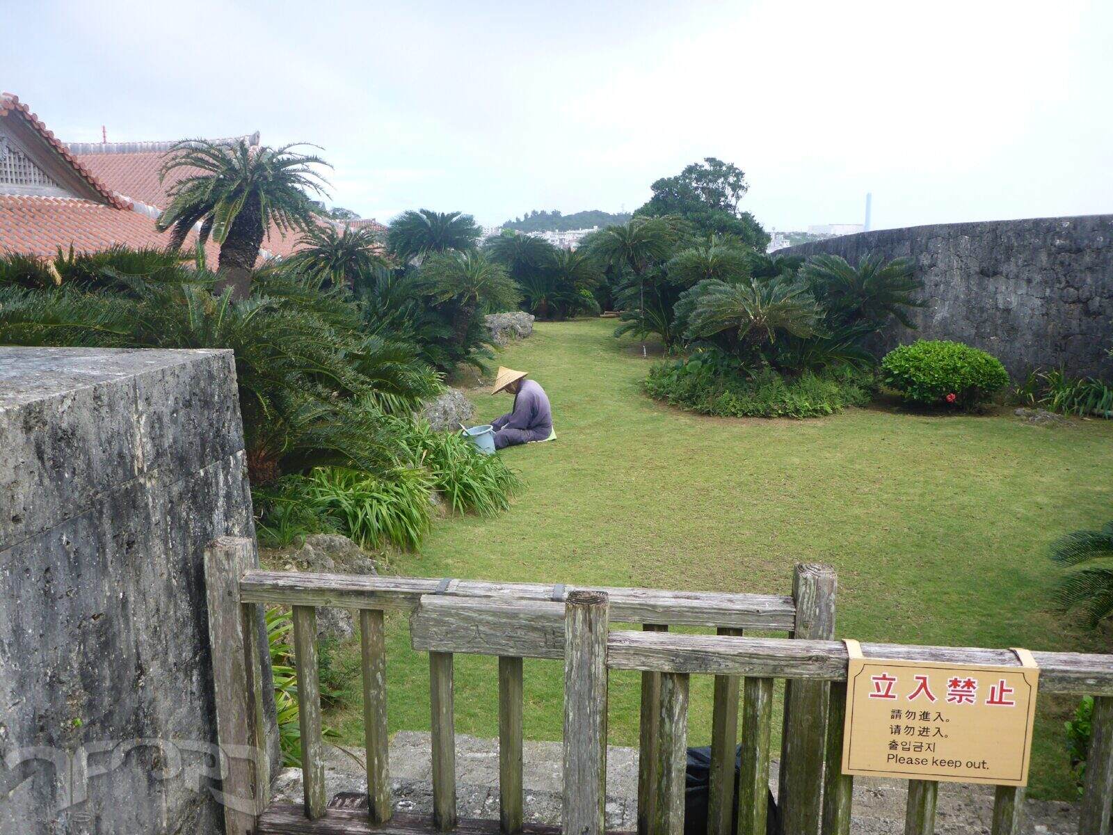 slideshow image
